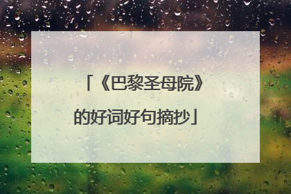 《巴黎圣母院》的好词好句摘抄