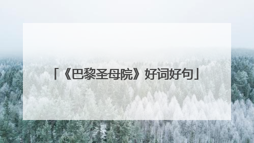 《巴黎圣母院》好词好句