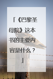 《巴黎圣母院》这本书的主要内容是什么？