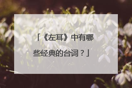 《左耳》中有哪些经典的台词？