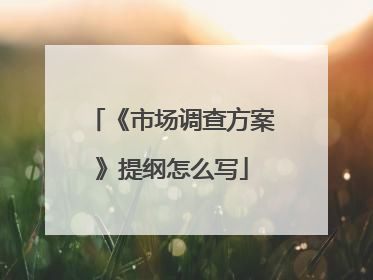 《市场调查方案》提纲怎么写