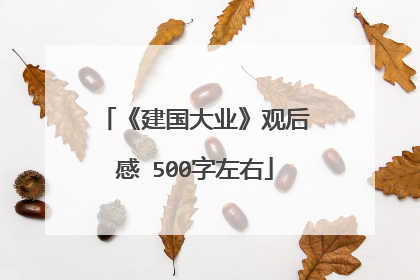 《建国大业》观后感 500字左右