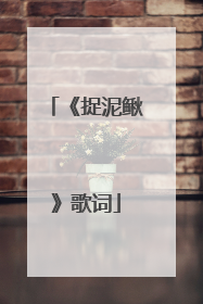 《捉泥鳅》歌词