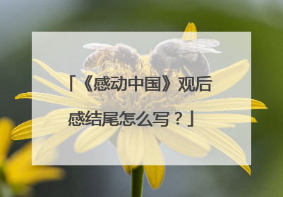 《感动中国》观后感结尾怎么写?