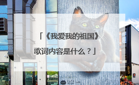 《我爱我的祖国》歌词内容是什么?