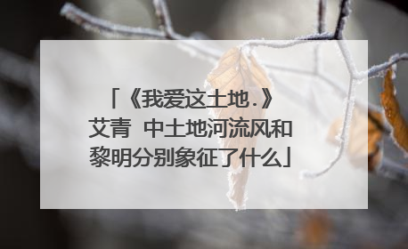 《我爱这土地.》 艾青 中土地河流风和黎明分别象征了什么