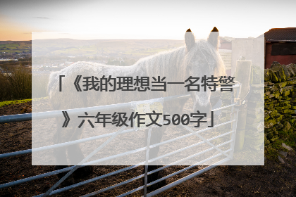 《我的理想当一名特警》六年级作文500字