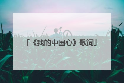 《我的中国心》歌词