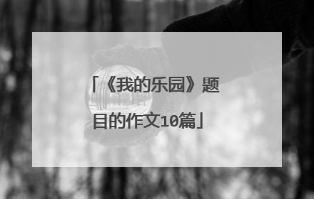 《我的乐园》题目的作文10篇