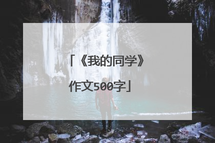 《我的同学》作文500字