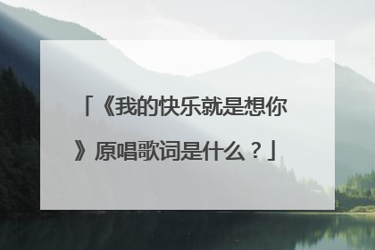 《我的快乐就是想你》原唱歌词是什么?