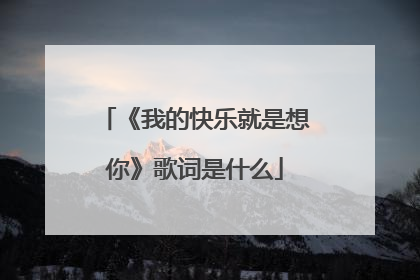 《我的快乐就是想你》歌词是什么