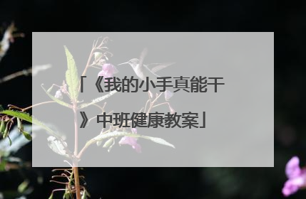 《我的小手真能干》中班健康教案