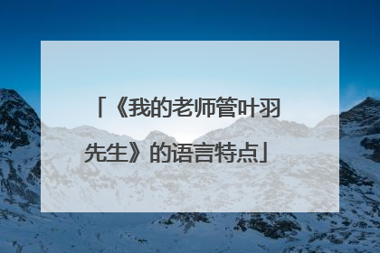 《我的老师管叶羽先生》的语言特点