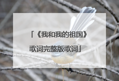《我和我的祖国》歌词完整版歌词