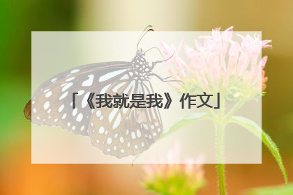 《我就是我》作文