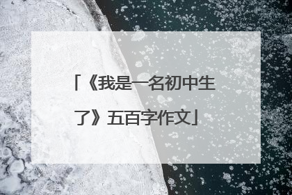 《我是一名初中生了》五百字作文