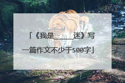 《我是_____迷》写一篇作文不少于500字