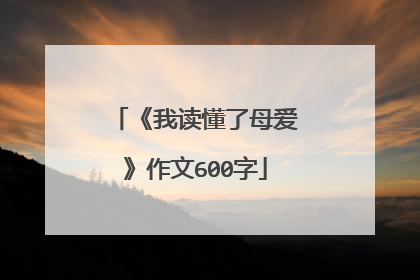《我读懂了母爱》作文600字
