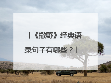 《撒野》经典语录句子有哪些?