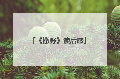 《撒野》读后感