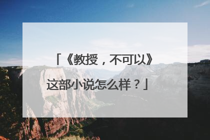 《教授，不可以》这部小说怎么样？