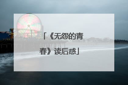 《无怨的青春》读后感