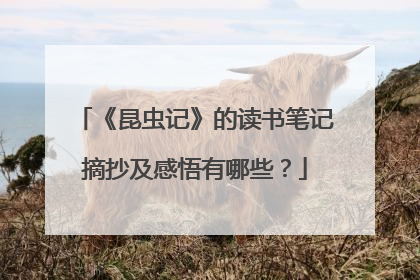 《昆虫记》的读书笔记摘抄及感悟有哪些？