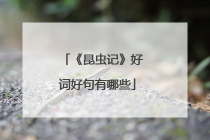 《昆虫记》好词好句有哪些