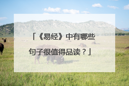 《易经》中有哪些句子很值得品读？