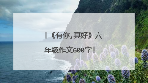 《有你,真好》六年级作文600字