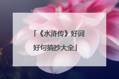 《水浒传》好词好句摘抄大全