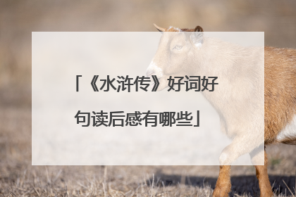 《水浒传》好词好句读后感有哪些