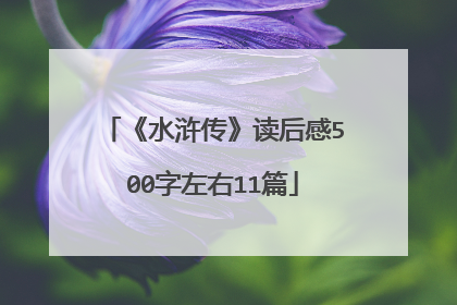 《水浒传》读后感500字左右11篇