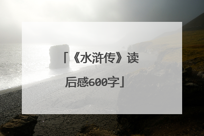 《水浒传》读后感600字