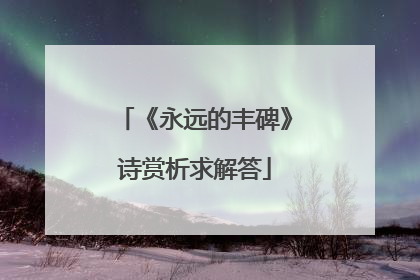 《永远的丰碑》诗赏析求解答