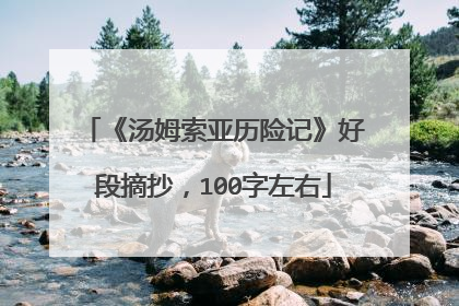 《汤姆索亚历险记》好段摘抄，100字左右