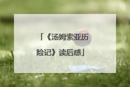 《汤姆索亚历险记》读后感