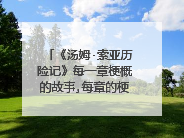《汤姆·索亚历险记》每一章梗概的故事,每章的梗概要200字