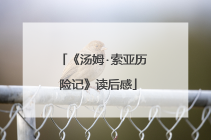 《汤姆·索亚历险记》读后感