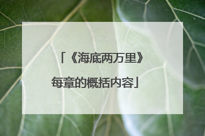 《海底两万里》每章的概括内容