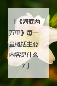 《海底两万里》每一章概括主要内容是什么?