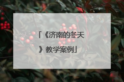 《济南的冬天》教学案例