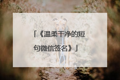 《温柔干净的短句微信签名》