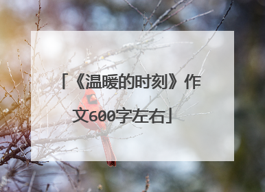 《温暖的时刻》作文600字左右