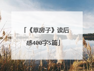 《草房子》读后感400字5篇
