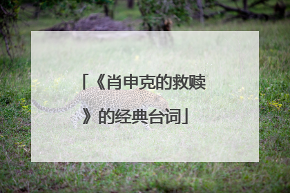 《肖申克的救赎》的经典台词
