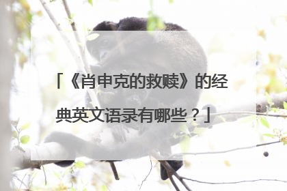 《肖申克的救赎》的经典英文语录有哪些？