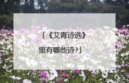 《艾青诗选》里有哪些诗?