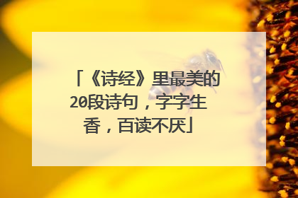 《诗经》里最美的20段诗句，字字生香，百读不厌